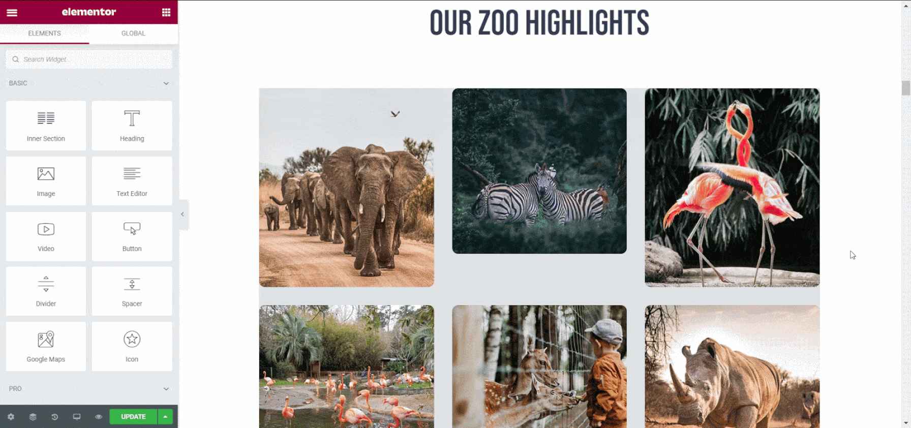 How To Create A Safari Or Zoo Website In WordPress Using Elementor Ready Template 5
